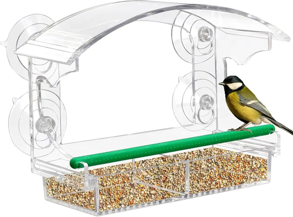 Mangeoire à oiseaux en plastique transparent avec tube vert et ventouses pour nourrir les oiseaux.