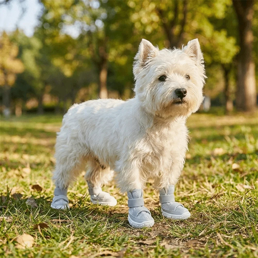A white fluffy dog wearing gray breathable anti-slip shoes standing on green grass.