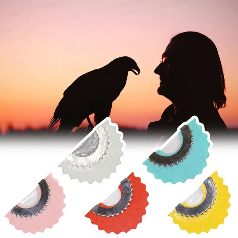 Silhouettes of two birds against a sunset background, with various colored whistle shapes.