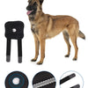 A brown dog standing next to various pet joint support and rehabilitation tools including a shock-absorbing gasket and spring