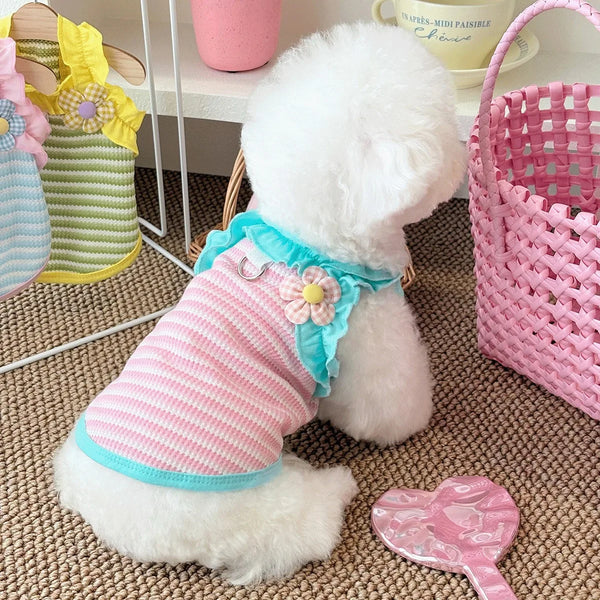 A fluffy white dog wearing a pink ruffled summer vest with light blue trim, sitting on a brown textured surface.