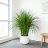 A tall potted artificial reed grass bouquet in a white ceramic pot on a gray floor next to a window.