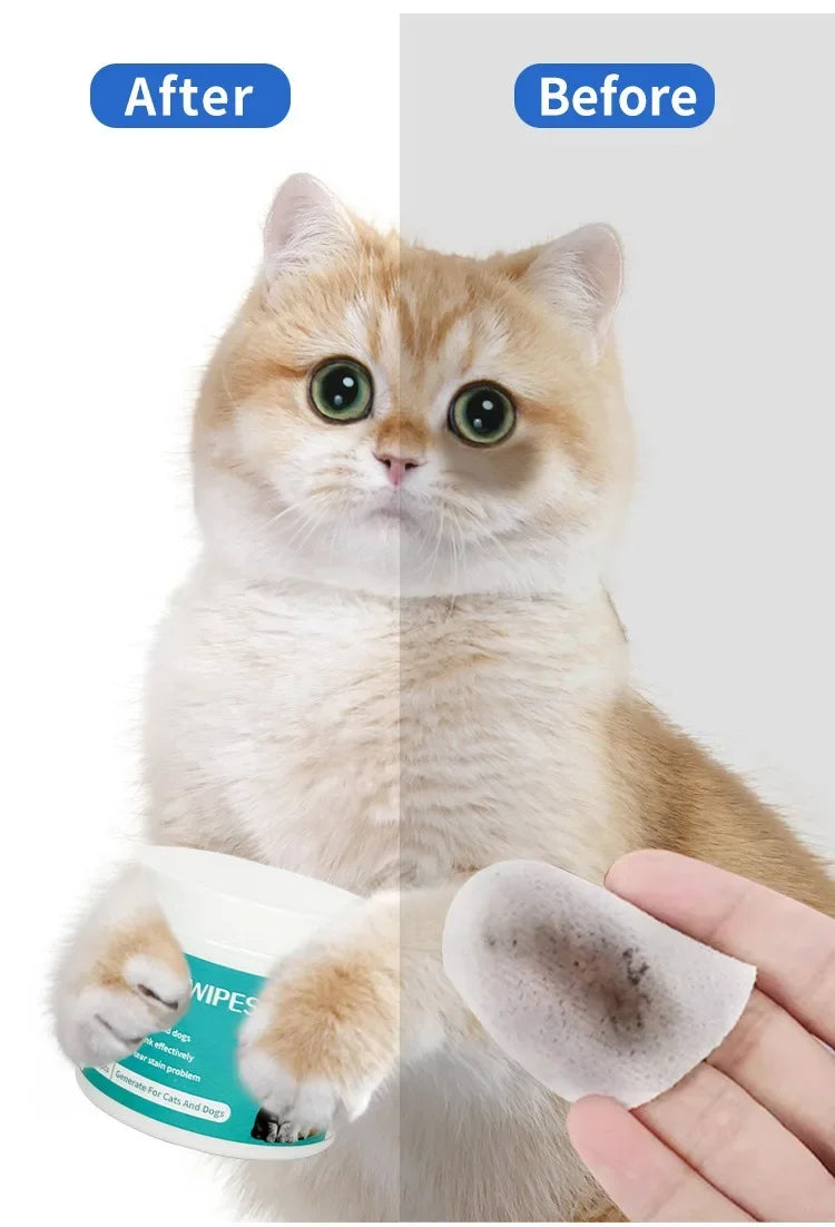 Katzenauge vor und nach Verwendung von Augenpads zur Entfernung von Tränenflecken.