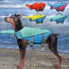 A brown dog wearing a blue life jacket with various colored reflective jackets displayed nearby.