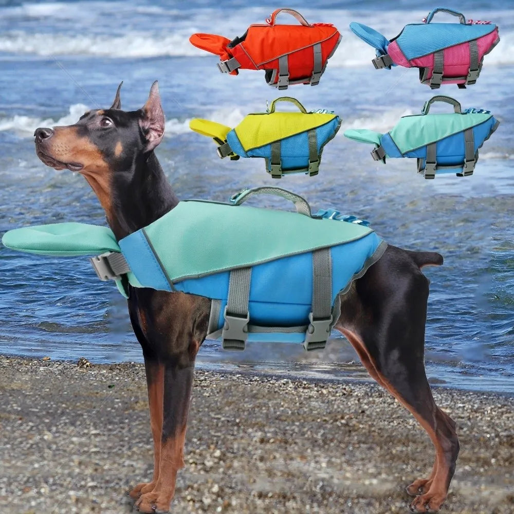 A brown dog wearing a blue life jacket with various colored reflective jackets displayed nearby.