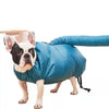A blue foldable pet drying bag is shown on a dog.