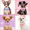 Four images displaying adorable lace bowtie collar accessories for small dogs and cats.