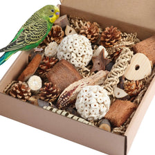 Un loro posado dentro de una caja llena de juguetes naturales como piñas, trozos de madera y bolas de semillas.