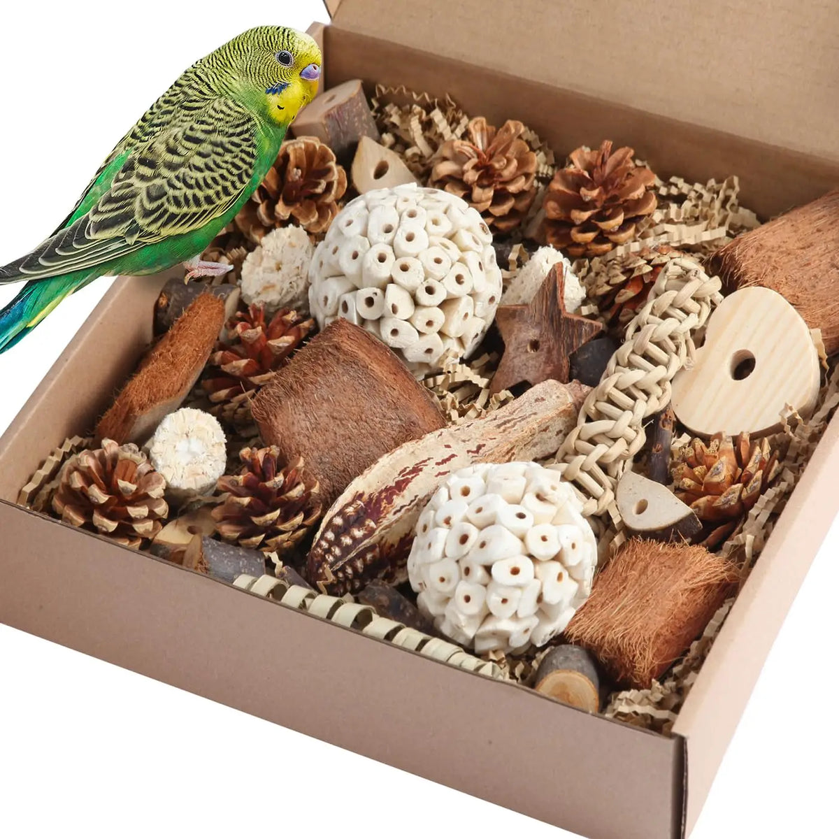 Un perroquet est perché dans une boîte remplie de jouets naturels de recherche comme des cônes de pin, des morceaux de bois e