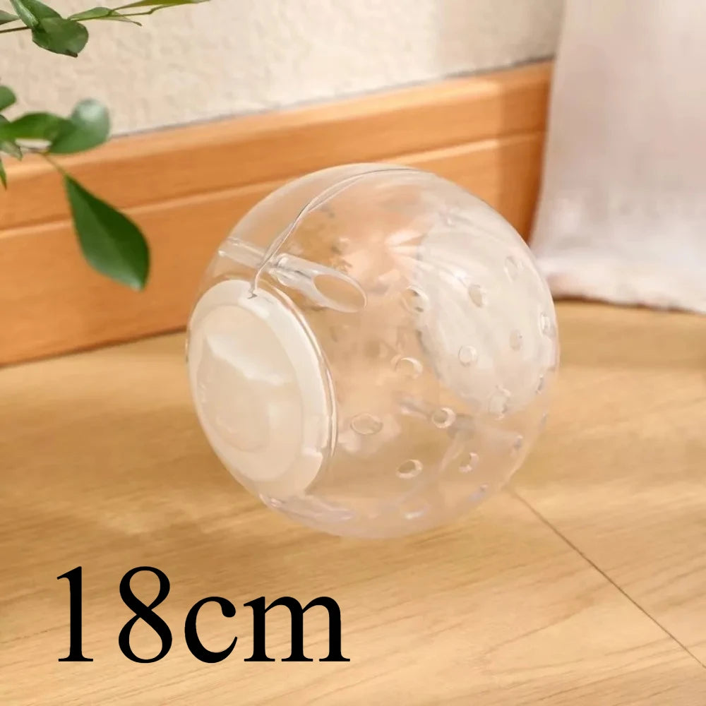 Clear plastic ball used for hamster exercise and play