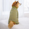 A golden dog wearing a striped green and olive jumpsuit lying on a white bed.