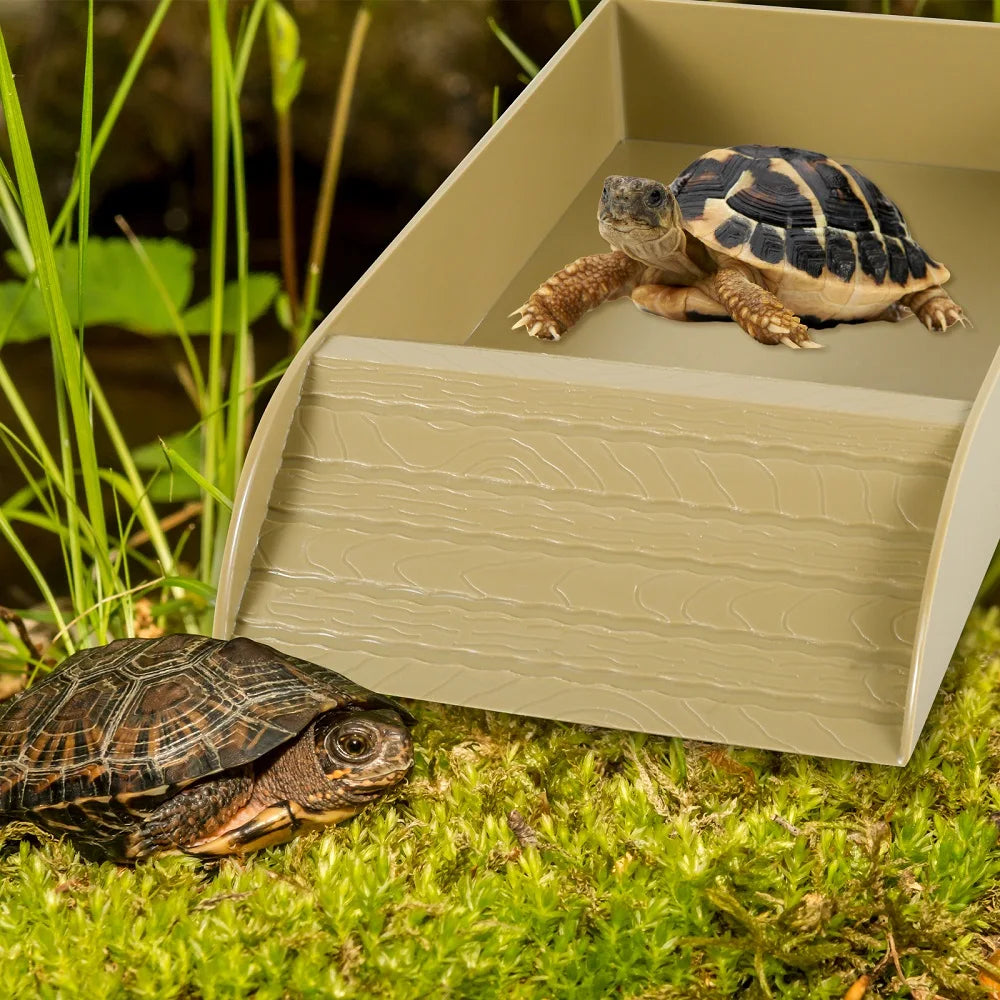 A tortoise habitat bowl with an anti-slip ramp, featuring a large tortoise resting inside on green moss.