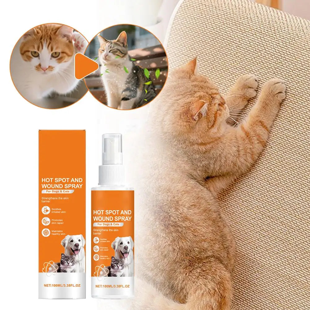 A fluffy orange cat is shown next to a bottle of Hot Spot and Wound Spray for dogs and cats.