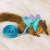 A brown tabby cat wearing a teal vest harness with purple ears and a blue fabric leash.