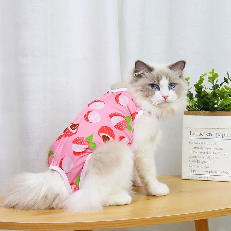 A fluffy blue and white cat wearing a pink recovery vest for post-surgery protection.