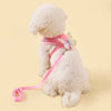 A fluffy white dog wearing a pink butterfly pet harness set.