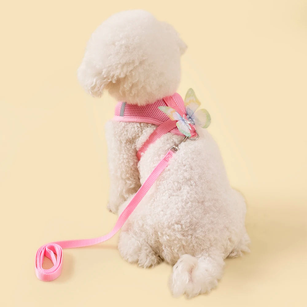 A fluffy white dog wearing a pink butterfly pet harness set.
