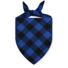 A navy blue and black plaid bandana tied around the neck.