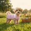 A fluffy apricot-colored dog wearing a pink gingham bow suit sitting in a sunny grassy field.