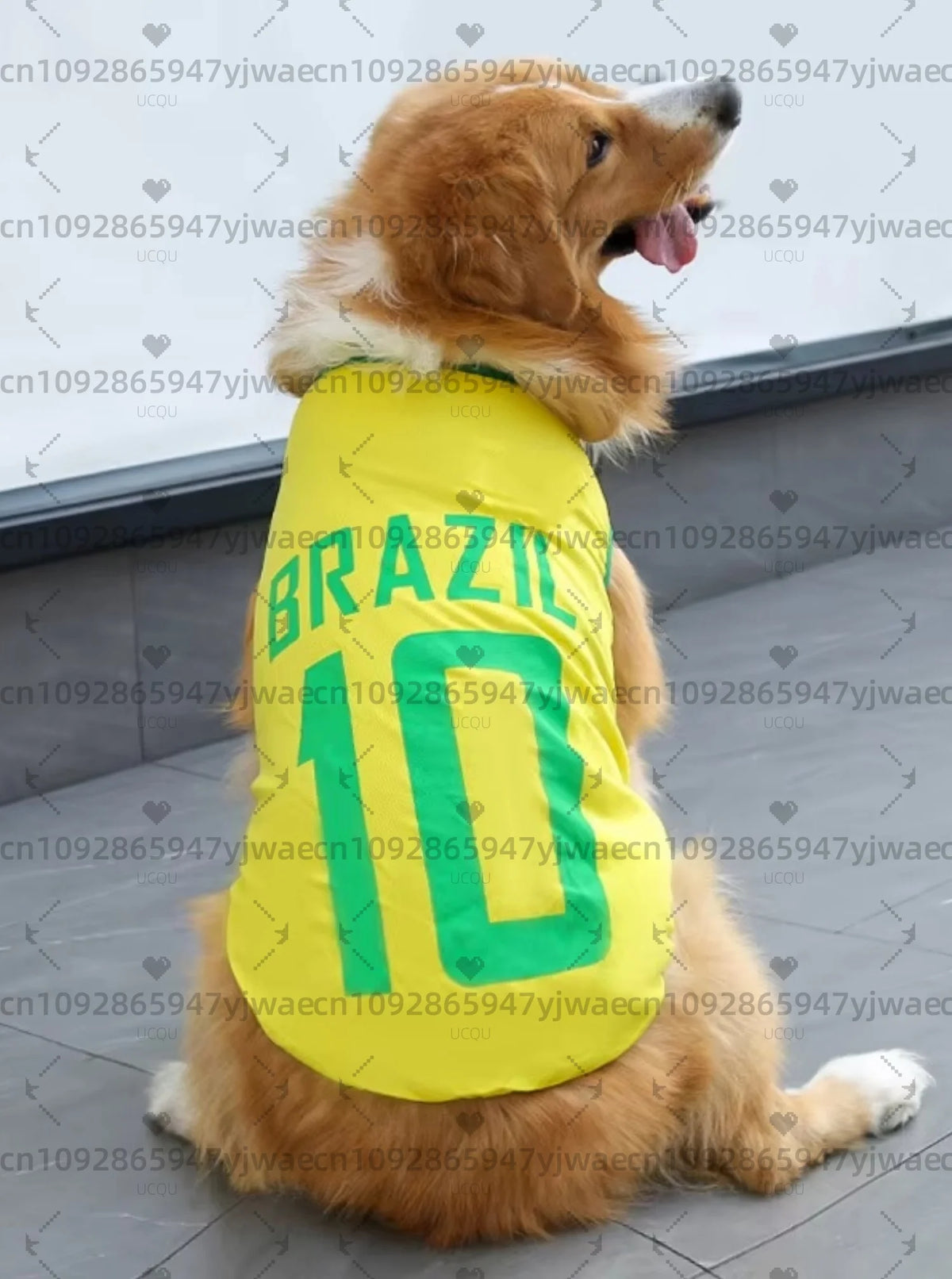 A golden retriever wearing a bright yellow football jersey vest with the number 10 and the word BRAZIL.