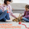 A girl and a cat play with an orange rolling toy on a light-colored floor.