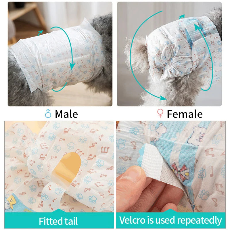 Image showing male and female dogs wearing leakproof sanitary diapers for dogs