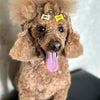 A brown poodle-type dog with yellow bone-shaped hair clips on its head and a pink tongue sticking out.