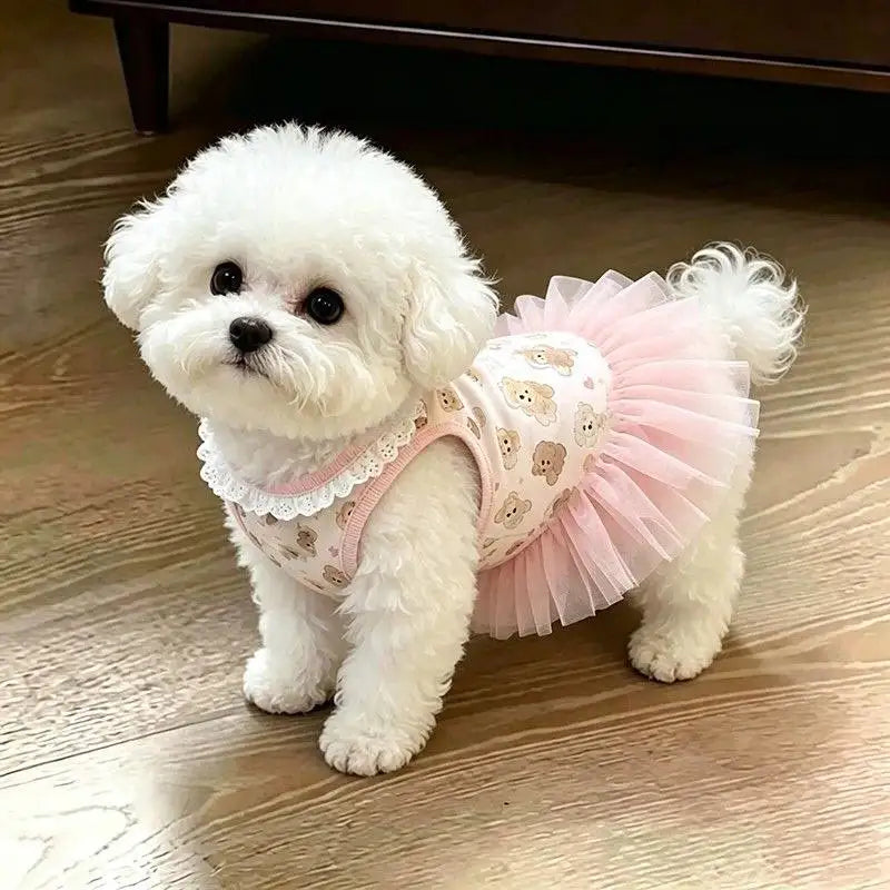 Ein flauschiger weißer Hund in einem rosa gerafften Sommerkleid sitzt auf einem Holzfußboden.