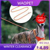 An orange reflective nylon dog leash with a quick-release clip is visible next to a dog.