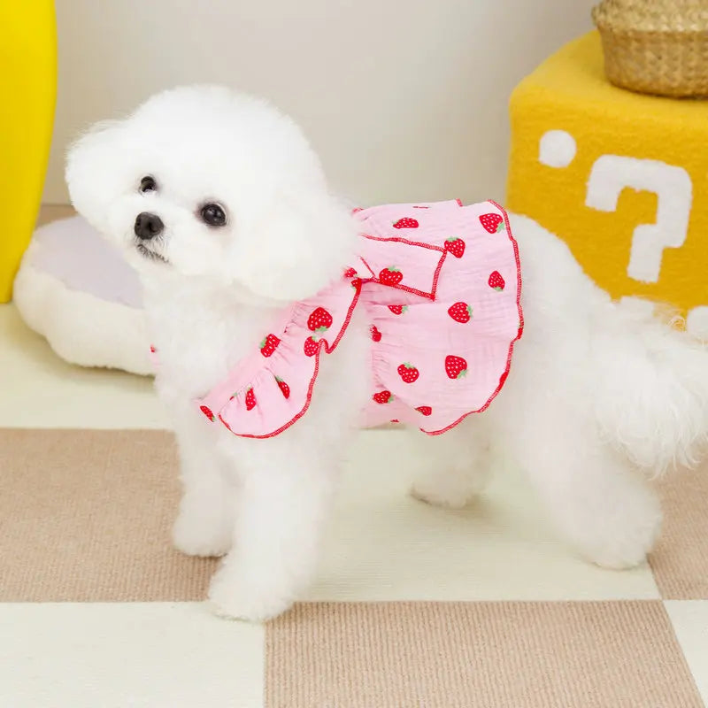 A fluffy white dog wearing a pink strawberry patterned dress standing on a light surface.