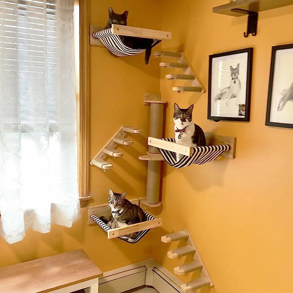 A wall-mounted wooden cat climbing tree and scratcher with multiple levels for a cat.