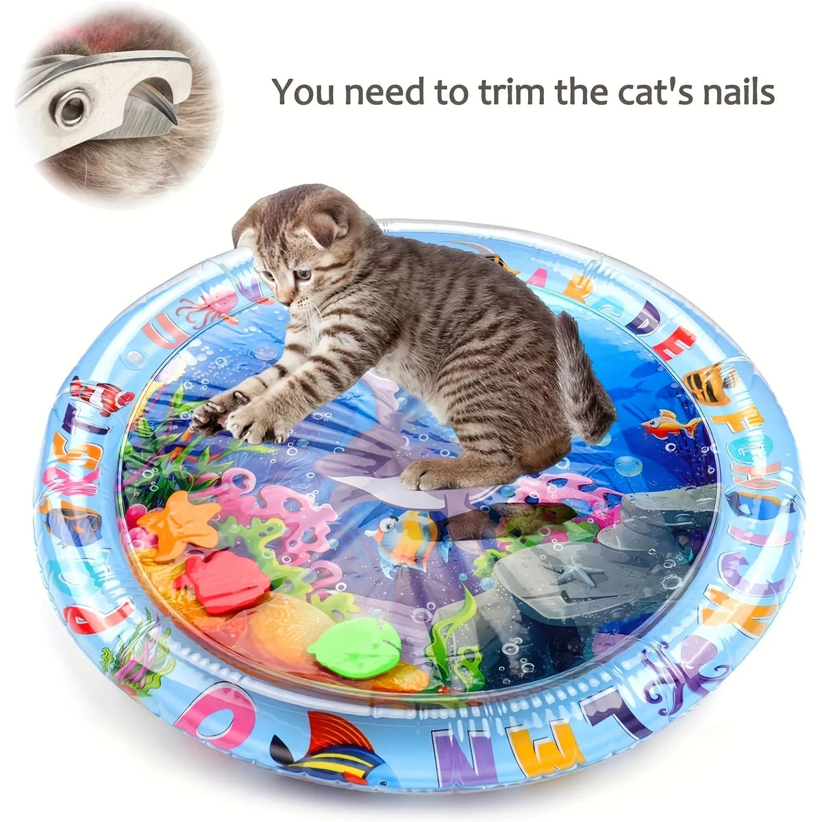 Un chaton tabby sur un tapis sensoriel bleu avec poissons et jouets colorés, à côté d'une tondeuse à ongles.