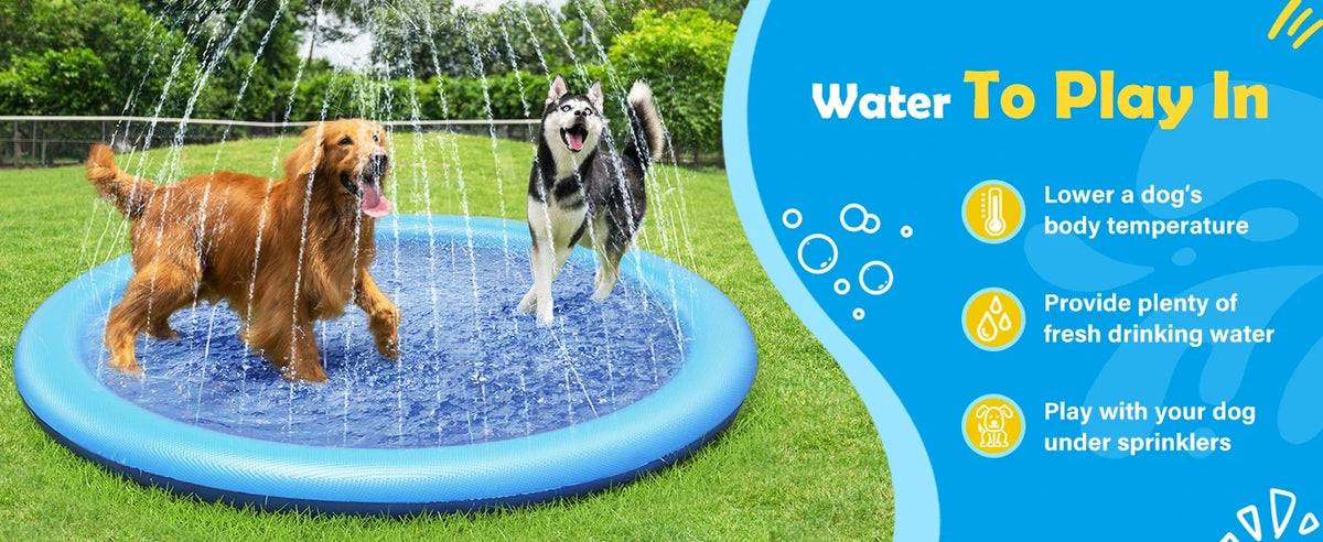 A dog is playing in a blue splash pad with water spraying, enjoying summer fun.