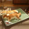 A light orange and white dog is lying on a green orthopedic memory foam dog bed on a brown carpet.