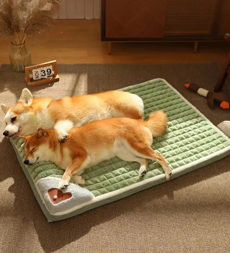 A light orange and white dog is lying on a green orthopedic memory foam dog bed on a brown carpet.