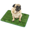 A fawn-colored pug dog is sitting on a green artificial grass training mat.