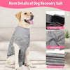 Goldener Retriever in grauem Rettungsanzug mit Schwanz-Magikband und weichen Stoffdetails