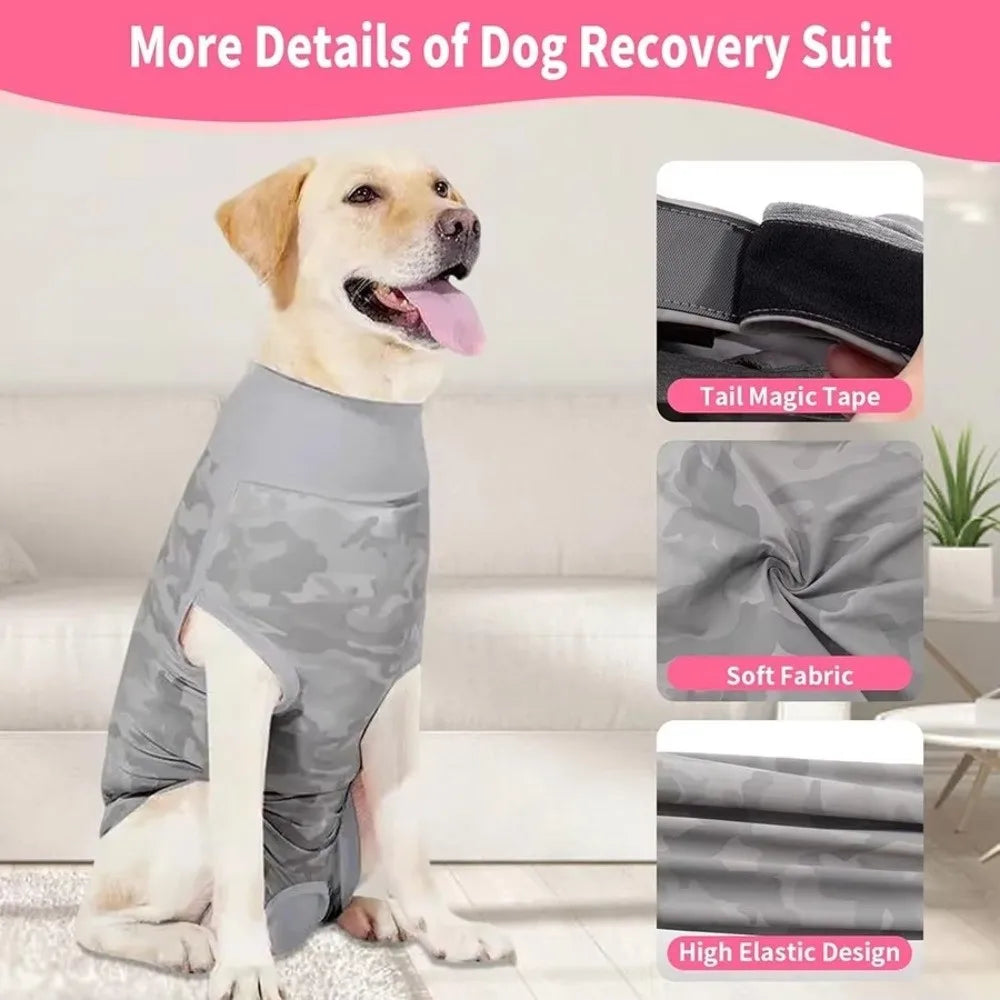 Goldener Retriever in grauem Rettungsanzug mit Schwanz-Magikband und weichen Stoffdetails