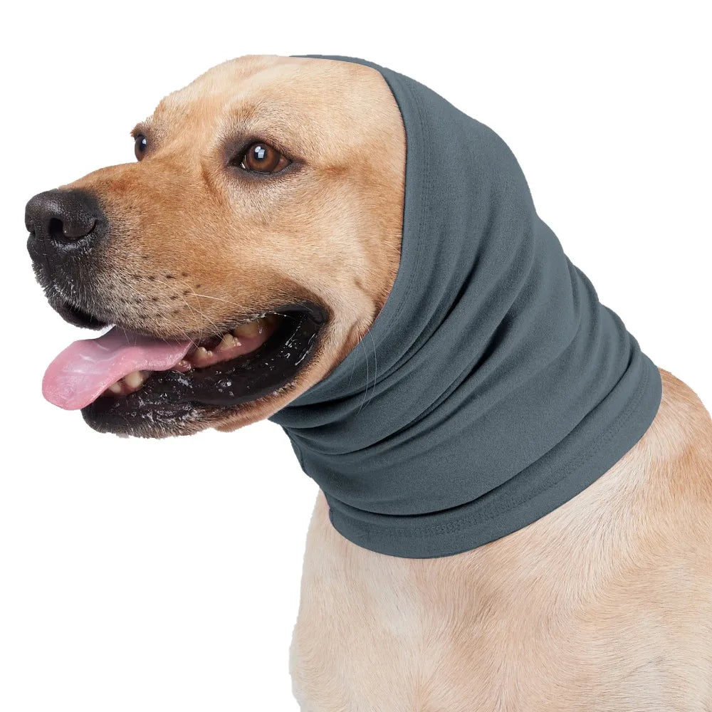 A light brown dog wearing a gray soothing ear muff collar.