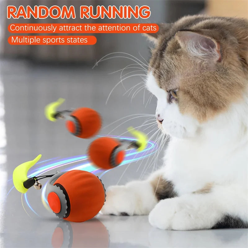 Eine Katze interagiert mit einem automatischen elektrischen Spielball für Haustiere.