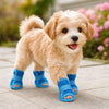 A light golden-colored puppy wearing blue breathable mesh dog shoes outdoors.