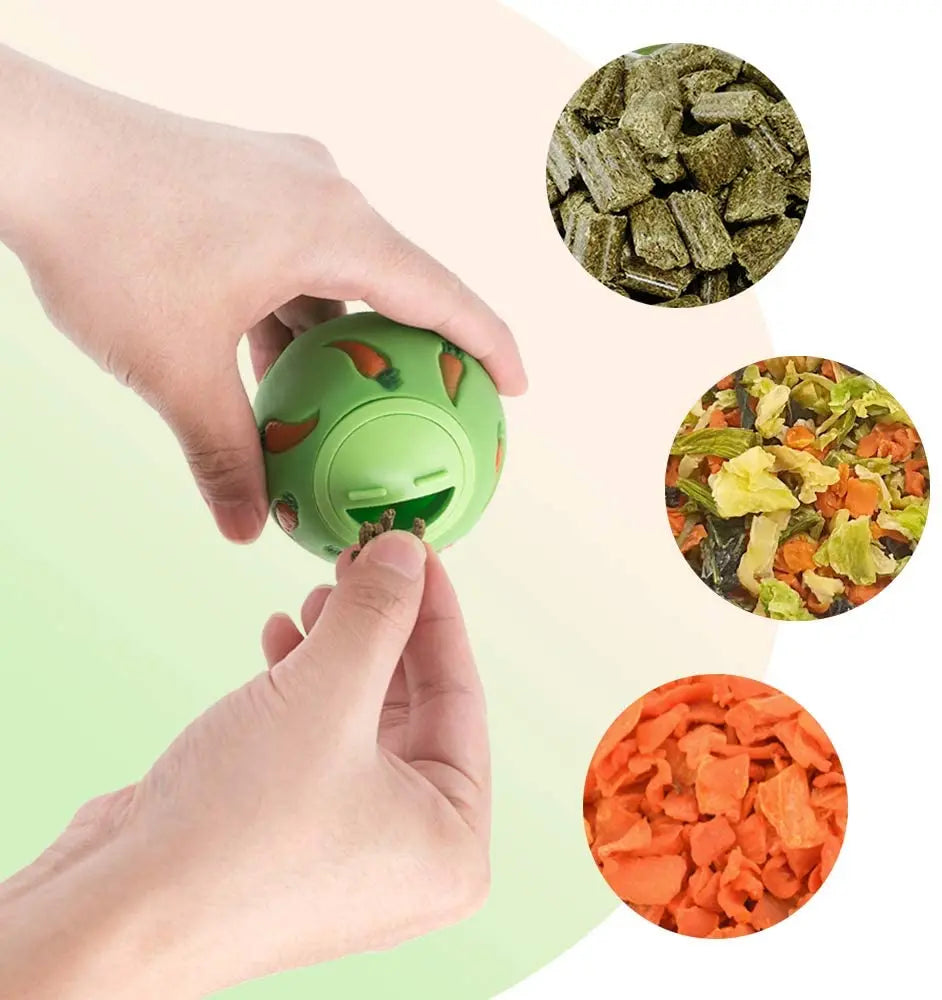 Eine Hand interagiert mit einer grünen Spielball-Belohnung neben Schüsseln mit verschiedenen Tierleckerlis wie Trockenfutter 