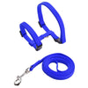 Blue adjustable nylon pet harness and leash set