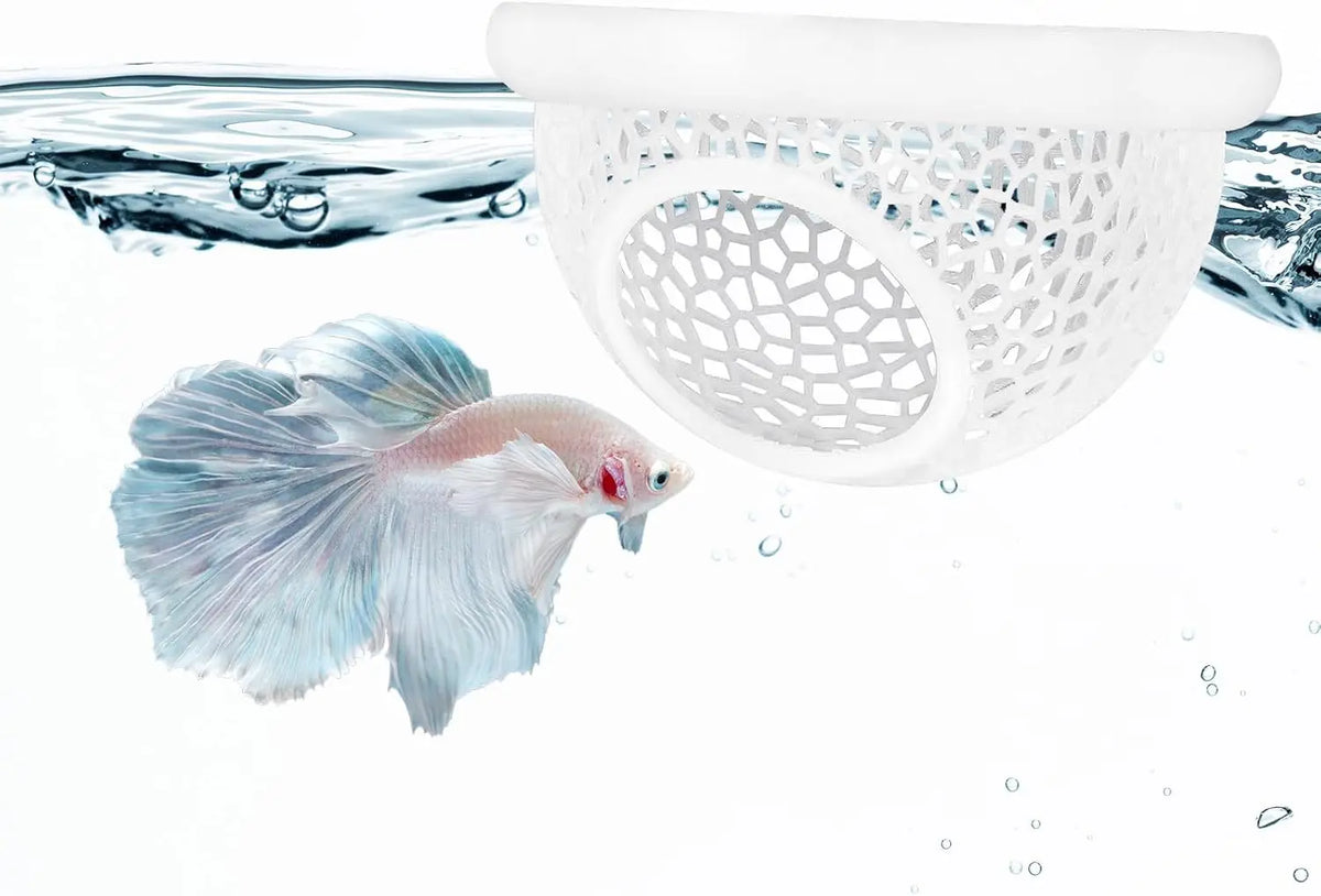 A betta fish swims near a white mesh hammock used as aquarium decor for fish and shrimp.