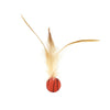 An interactive cat ball with feathers attached to a small orange and black ball.