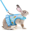 A gray rabbit wearing a light blue mesh harness with a matching leash.