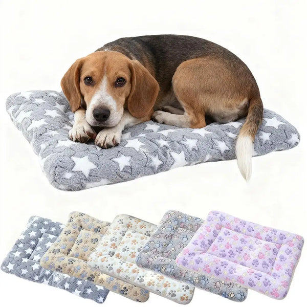 A brown and white dog lying on a gray pet blanket, with several folded coral fleece blankets displayed below.