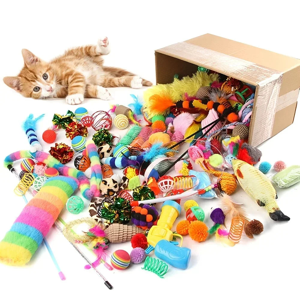 A bundle of mixed cat play toys including feathers, yarn, and small accessories next to a cardboard box and a kitten.