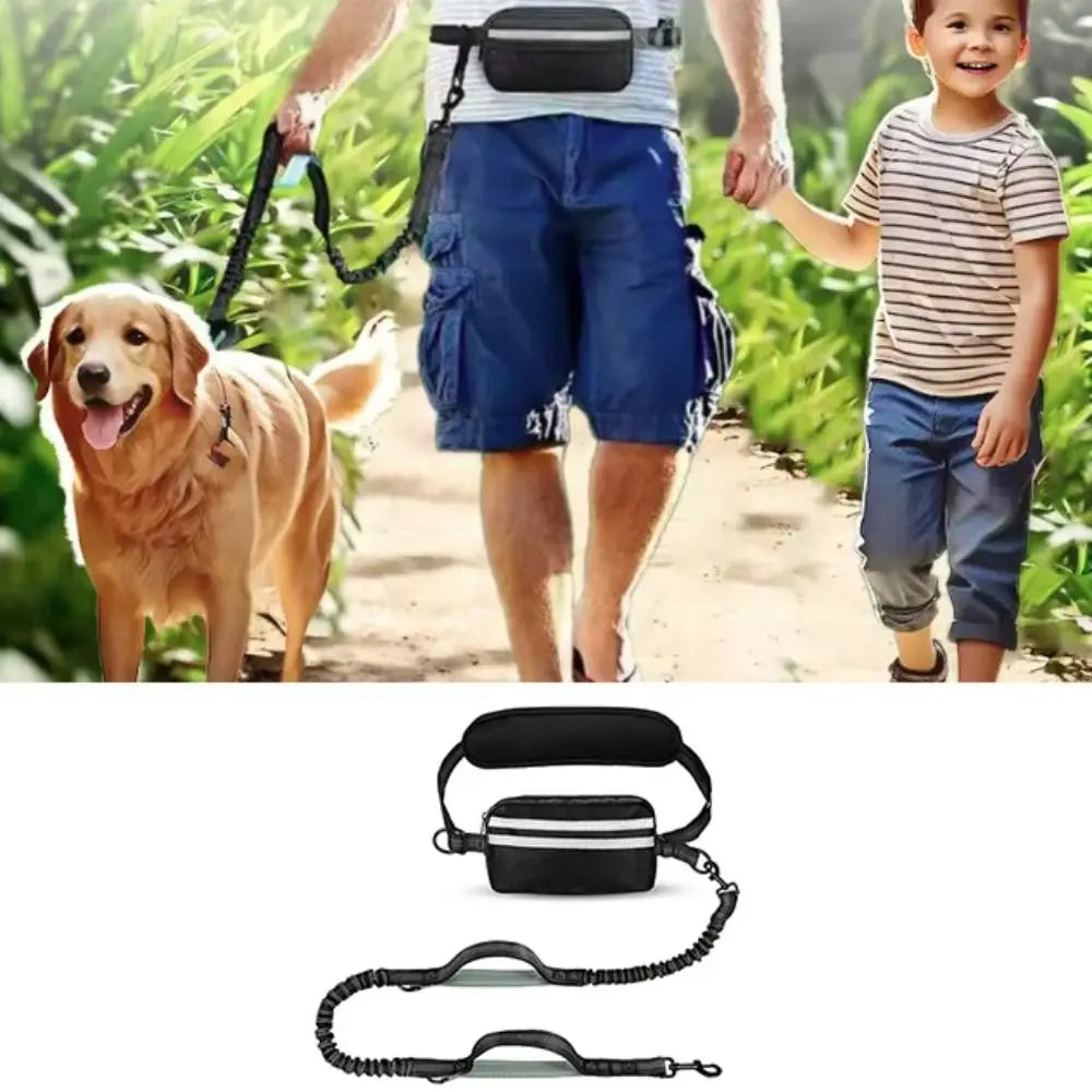 Ein Hund wird von einer Person mit einer schwarzen, ausziehbaren Leine mit durchsichtiger Tasche am Griff geführt.