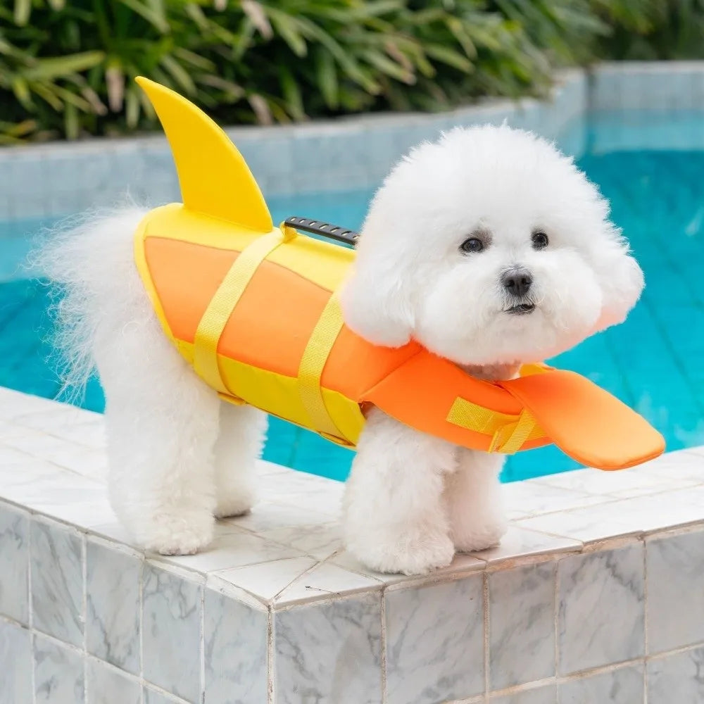 A fluffy white dog wearing a bright orange and yellow high visibility life vest next to a blue swimming pool.